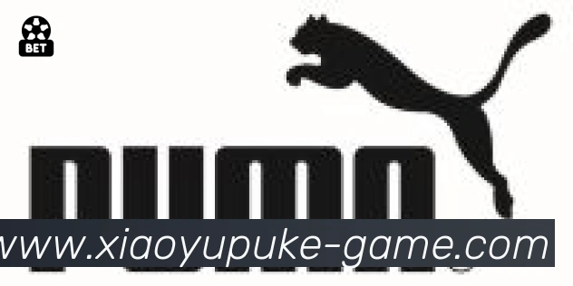 小鱼扑克棋牌合作伙伴